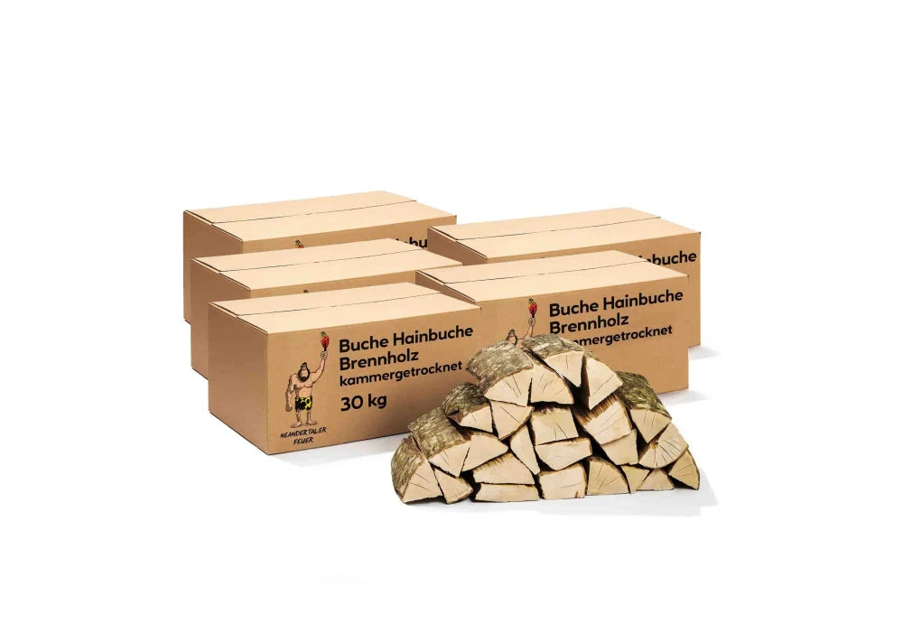 Brennholz Buche Hainbuche 180kg