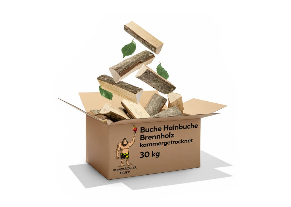 Brennholz Buche Hainbuche 150kg