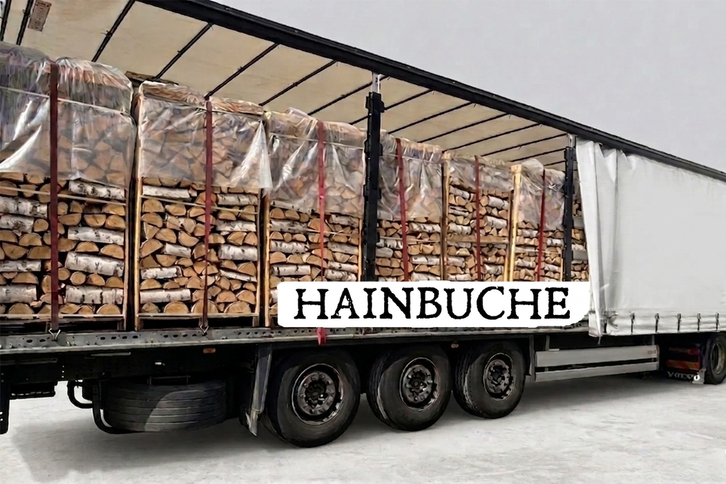 LKW-Ladung Brennholz - Hainbuche - 30/33 cm - kammergetrocknet - 1,8 RM Paletten – Bild 2